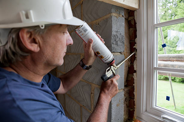 Best Spray Foam Insulation  in Scanlon, MN